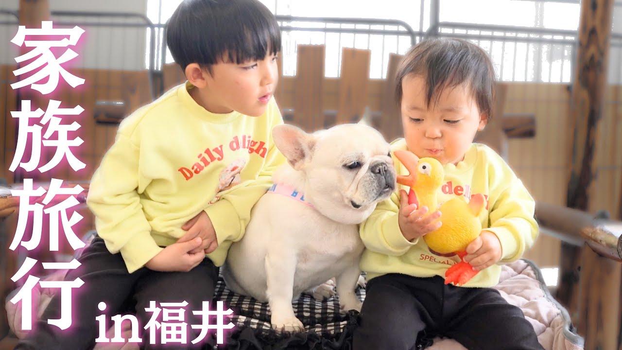 旅先で2歳児に愛されすぎて戸惑う愛犬が可愛いすぎました…
