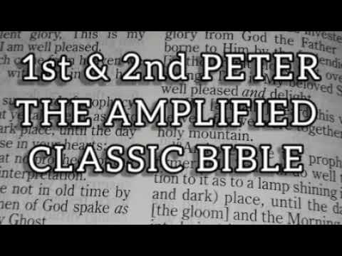 , title : '1st Peter & 2nd Peter The Amplified Classic Audio Bible with Subtitles and Closed-Caption'