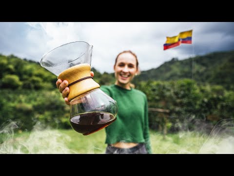 ESTE ES EL ORO NEGRO DE COLOMBIA