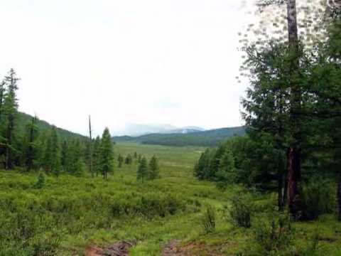 Д Энхзул   Бүсгүйн ааль