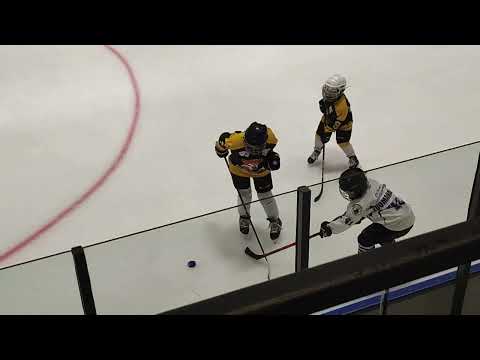 Hokkarit U8 vs Pirkkalan Pingviinit Kuninkaat