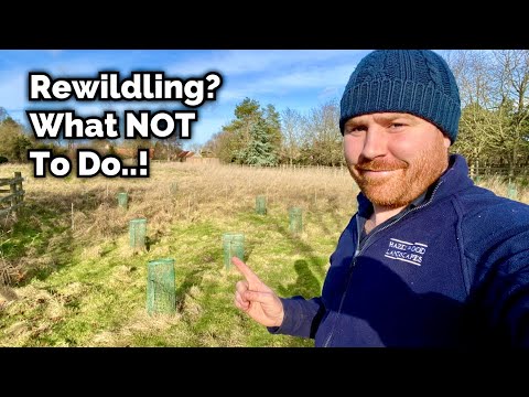 Rewilding Gone Wrong - What NOT To Do..