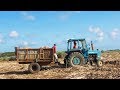 The Craft Of Tanduay Rum