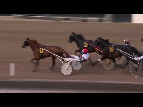 Svenskt Trav Kriterium Consolation 2023 - S.G. Dracarys