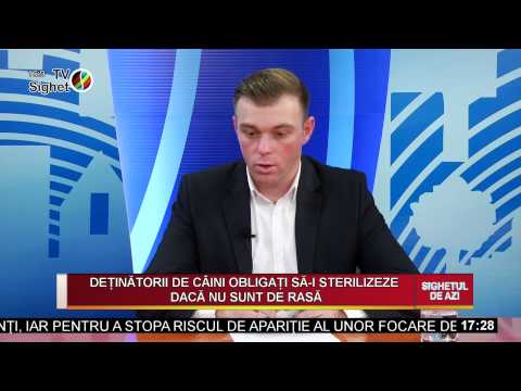Sighetul de Azi 10 februarie 2015 - Ce reglementari trebuie sa respecte proprietarii de caini?