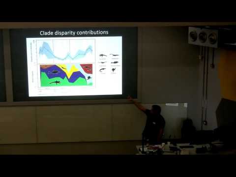 The ecomorphological diversifications of Mesozoic marine reptiles