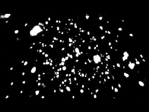 Dado & Massimo Da li znas...