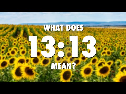 What Does Angel Number 1313 Mean