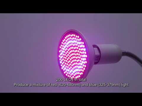 LED Grow Light 12W 200 Red Blue LEDs Plant Grow Lamp