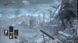 Why do I try anymore?