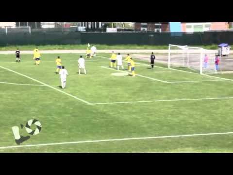 L'Osservatore in Poltrona - Morelli Lorenzo