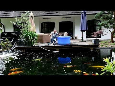 Modern Koi Blog #1045 - Pumps in the pond instead of floor drains