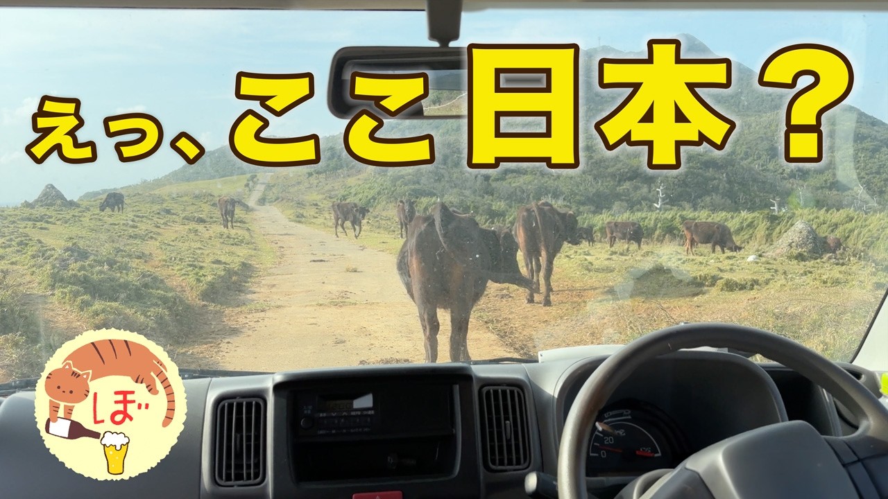 【トカラ列島】日本最後の秘境・宝島へ。ぼっち女の島滞在記と絶景キャンプ｜鹿児島県十島村