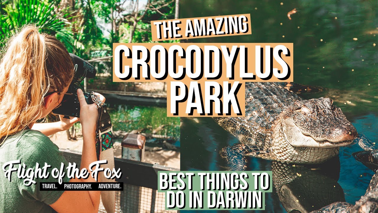 Join travelers as they embark on a journey to Crocodylus Park.