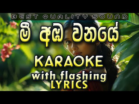 Mee Amba Wanaye Karaoke with Lyrics (Without Voice)
