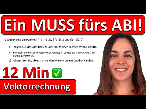 🚀🚀🚀 DAS MUSS IM MATHE ABI SITZEN! | 12 Minuten Vektoren | OHimi Abitur 2026
