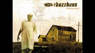 The Buzzhorn - Waste of A Man (Audio)