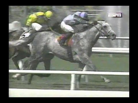 Fastness : 1996 Eddie Read & Shoemaker BC Mile Handicaps