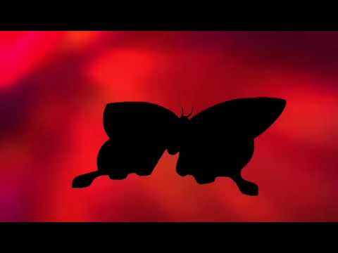 Episode 9   𝘽𝙡𝙚𝙖𝙘𝙝 Abridged