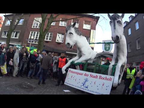 Rosenmontag 2015 - unsere Langfassung