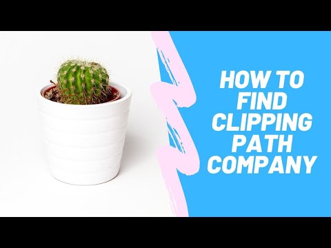 Videos from UK Clipping Path