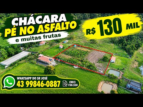 CHÁCARA PÉ NO ASFALTO MUITA FRUTA DO SR JOSÉ R$ 130 MIL WHATSAPP DELE 43 99846-0887