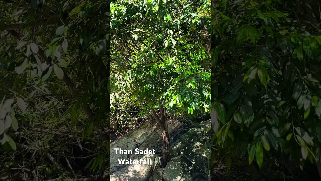 YouTube Short thumbnail