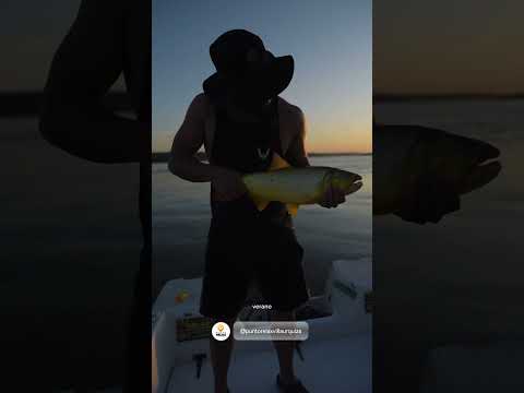 Vivi el Verano en Villa Urquiza Entre Ríos!