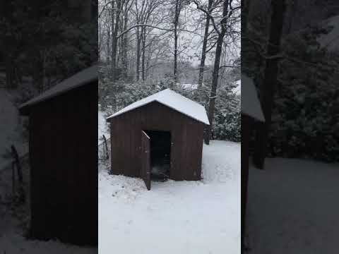 SNOW IN MARYLAND 01/31/2021