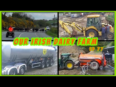 New Holland NH85  fuel line problems, Straw on DoneDeal, Slurry & moving cows!