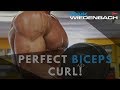 How to set up the perfect biceps curl!!