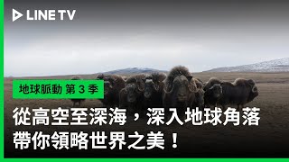 預告：從高空至深海，深入地球角落，帶你領略世界之美！【字幕】