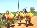 Harusi Ya Ngata