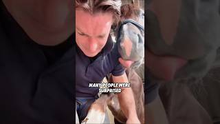Download lagu 🔨🐎❤️Meet the master craftsman who makes perfect horseshoes 👑#animals #pets #lovestory #horse mp3 Download lagu 🔨🐎❤️Meet the master craftsman who makes perfect horseshoes 👑#animals #pets #lovestory #horse mp3