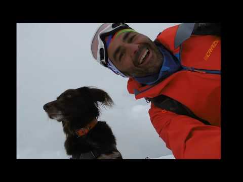 Il Mostro delle nevi