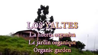 Création du jardin organique - organic garden - huerta organica