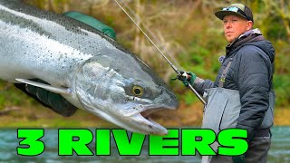 Catch A Steelhead On 3 Rivers In ONE Day - STEELHEAD Fishing Challenge