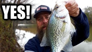 I'm Catching BIG CRAPPIE From The Bank! (Crappie Fishing Success)