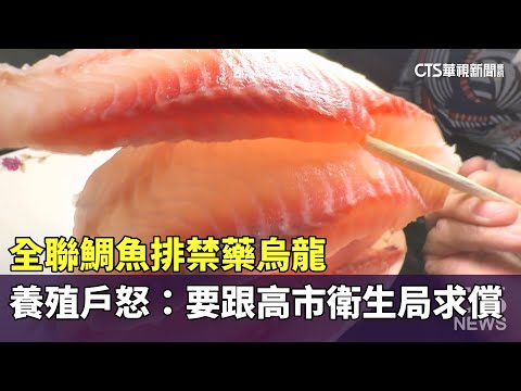 全聯鯛魚排禁藥烏龍　養殖戶怒：要跟高市衛生局求償