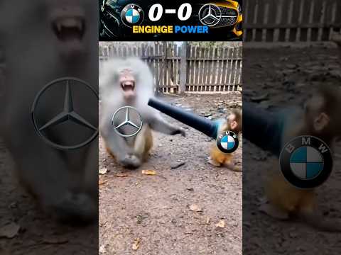 BMW or Benz The Showdown You Need To See!