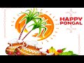 Pongal Whatsapp Status Happypongalwhatsappstatusvideo Pongal2023