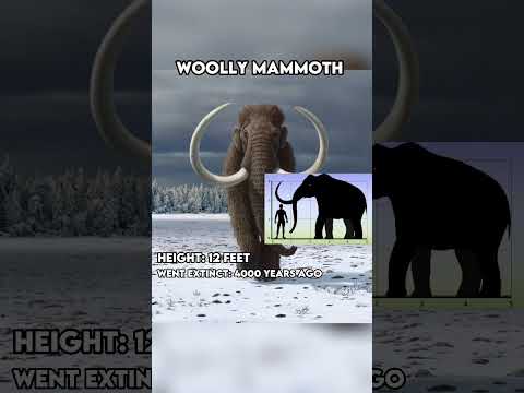 Extinct Animals That Scientists Want To Bring Back To Life