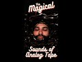 The MAGICAL SOUNDS Of ANALOG TAPE