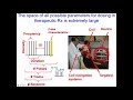 NIH Basic Training Course On Transcranial Magnetic Stimulation TMS Physical Parameters Protocols