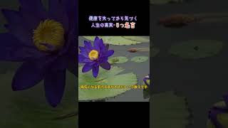 健康を失ってから気づく人生の真実；偉人たちが残した5つの名言#健康#健康寿命#人生の教訓#名言#シニアライフ#高齢者向け#人生100年時代#健康習慣#老後#健康管理#心と体#トルストイ#シニア向け