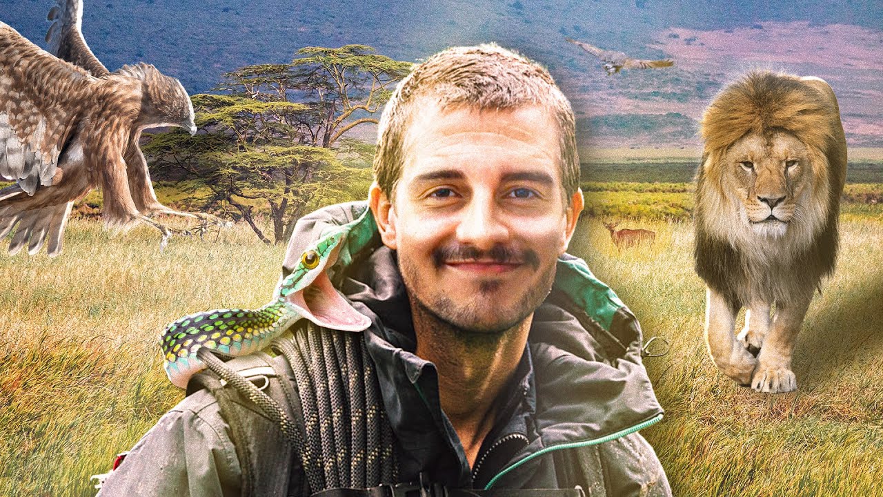 REVISÃO de LINGUAGENS para o ENEM (ENEM 2022)