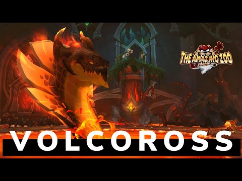 VOLCOROSS Mythic - Multi PoV | Guild The Amazing Zoo - Archimonde