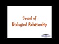 Sound Of Sexual Intercourse