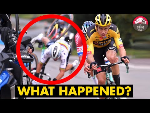 Why did Julian Alaphilippe CRASH at the Tour of Flanders 2020 | EXPLAINED | WHAT REALLY HAPPENED?