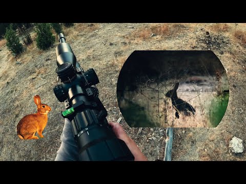 Caza de conejos 2026 Fx king 600mm 